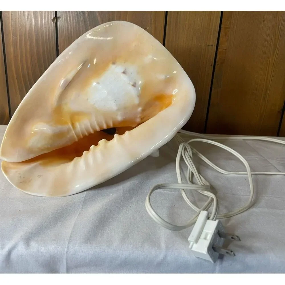 Queen conch shell lamp